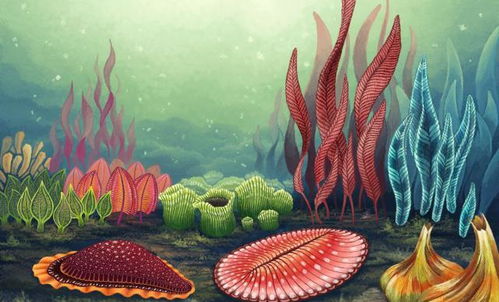 古氧濃度與單細胞生物體型的關系及其在現(xiàn)代醫(yī)藥技術中的啟示